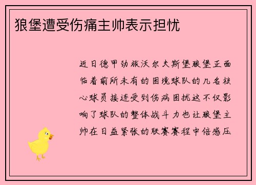 狼堡遭受伤痛主帅表示担忧